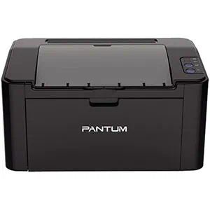 Pantum P2516